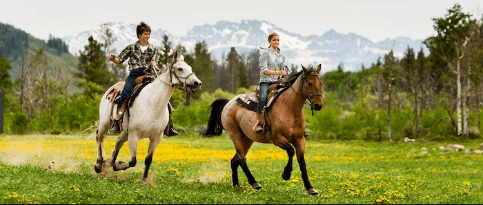 Confident plus-size woman riding Borehamwood a horse through a field with a smile on her face.